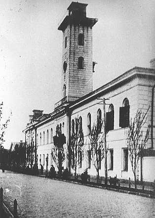 eli08.jpg (23622 bytes)