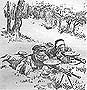 kar033m.jpg (3786 bytes)